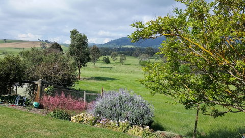 Cheviot Glen Cottages - Mackay Tourism 2