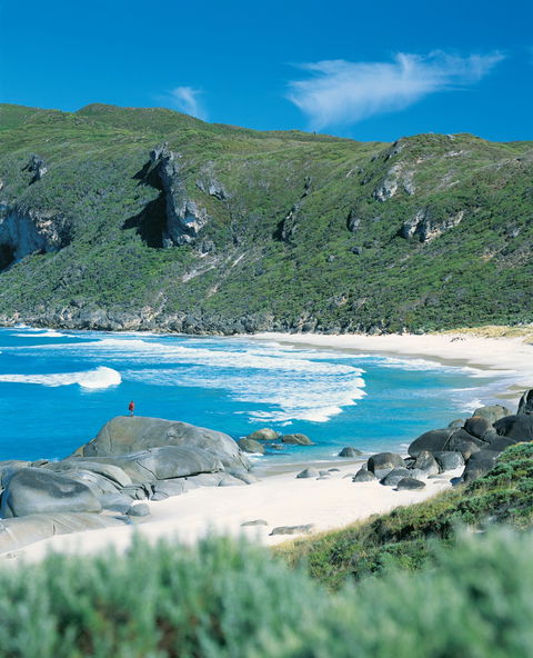 Crystal Springs Camp At D'Entrecasteaux National Park - Mackay Tourism 0