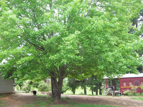 Hill End Holiday Ranch - Mackay Tourism 0