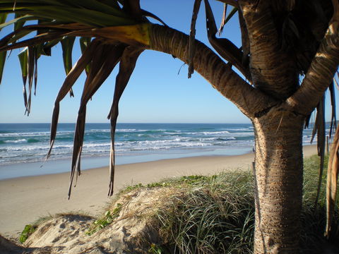 Horizons At Peregian - Mackay Tourism 0