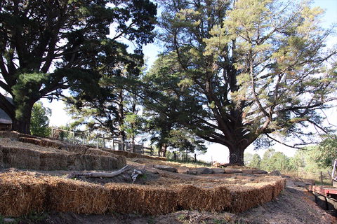 Longwood Retreat - Mackay Tourism 0