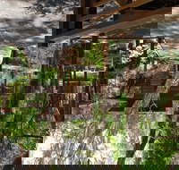 Melaleuca Surfside Backpackers - Mackay Tourism