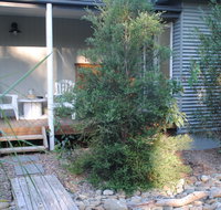 Native B and B - Callala Bay - Mackay Tourism