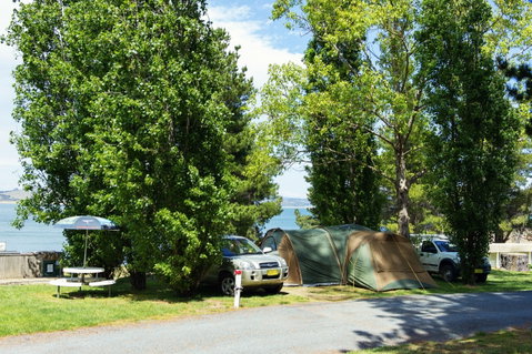 Rainbow Pines Tourist Caravan Park - Mackay Tourism 1