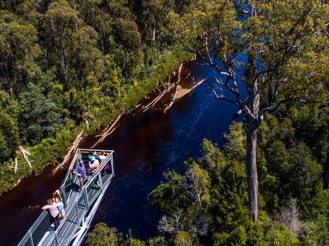 Tahune Adventures Tasmania - Lodge And Cabin - Mackay Tourism 1