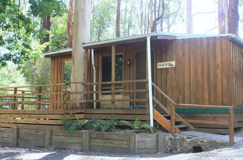 Tarra Valley Caravan Park - Mackay Tourism 1