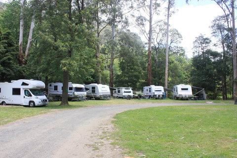 Tarra Valley Caravan Park - Mackay Tourism 2