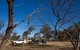Tilmouth Well Roadhouse - thumb 1