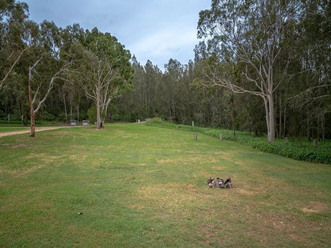 Violet Hill Campground And Picnic Area - Mackay Tourism 2