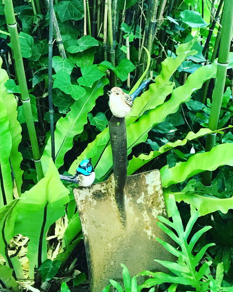 Aldgate Valley Bed And Breakfast - Mackay Tourism 2