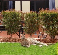 Alpha Canberra Hotel - Mackay Tourism