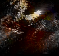 Billy Grace Reserve - Mackay Tourism