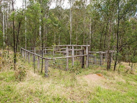 Blue Gums Campground - Mackay Tourism 1