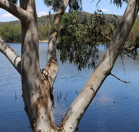 Bumberry Dam - Mackay Tourism