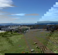 Cheeky Fox Retreat - Mackay Tourism