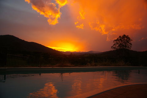 Ewetopia Farm - Mackay Tourism 2