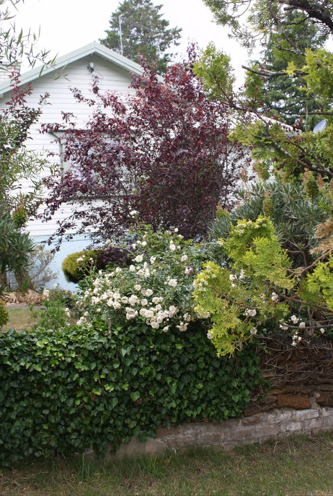 Katoomba Green Gables - Mackay Tourism 1