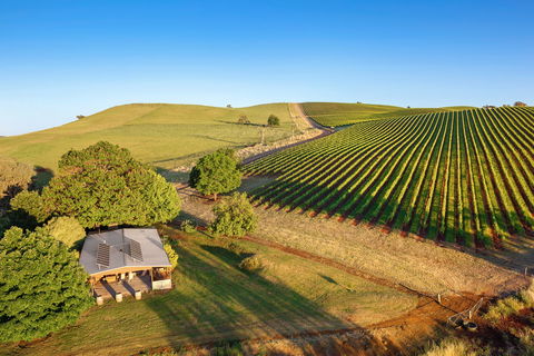 Mt Bellevue - King Valley - Mackay Tourism 0