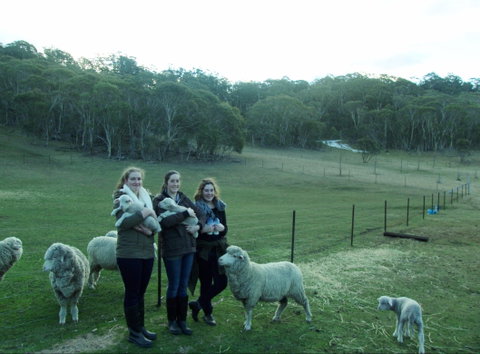 Old Minton Farmstay - Mackay Tourism 1