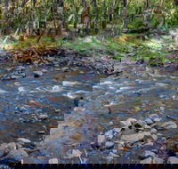 Toorooroo campground - Mackay Tourism