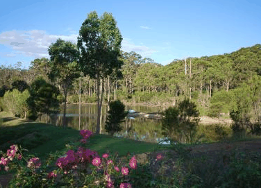 Forest Lodge Resort - Mackay Tourism 3