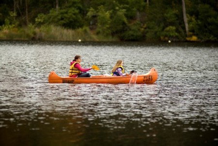 Karri Valley Resort - Mackay Tourism 1