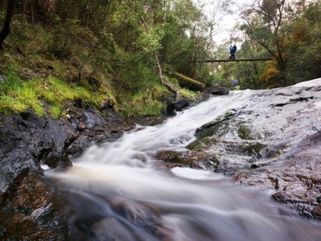 Karri Valley Resort - Mackay Tourism 2
