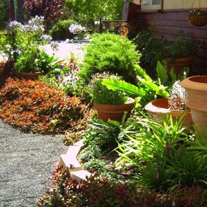 Northcliffe Bibbulmun Break Motel - Mackay Tourism 3