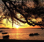 Pelican's Nest - Mackay Tourism