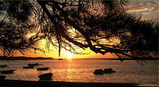 Pelican's Nest - Mackay Tourism 0