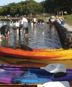 Turner Caravan Park - Mackay Tourism 1