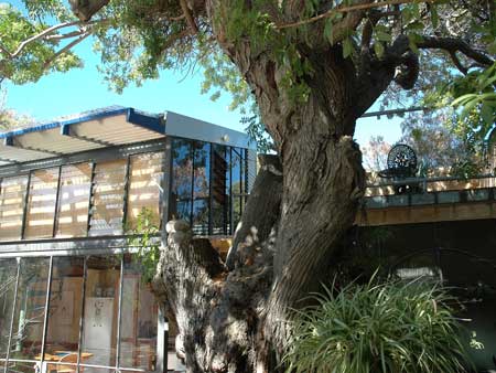 The Painted Fish - Mackay Tourism 3