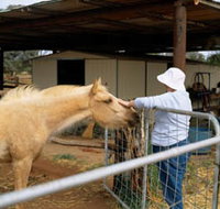 Nallan Station - Mackay Tourism