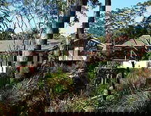 Grass Trees Escape - Mackay Tourism 0