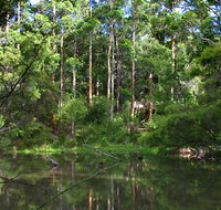 Peppermint Grove Retreat - Mackay Tourism