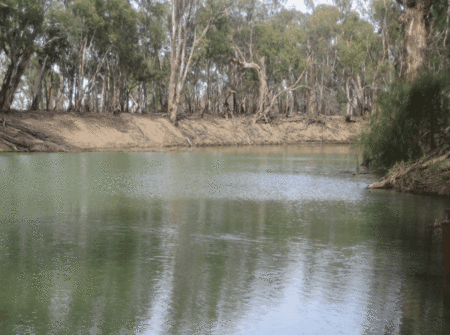 Balranald Club Motel - Mackay Tourism 1