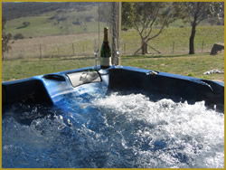 Henlie Park Bed & Breakfast - Mackay Tourism 1