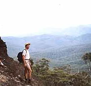 Mimosa Hill Wildflower Farm Cottages - Mackay Tourism