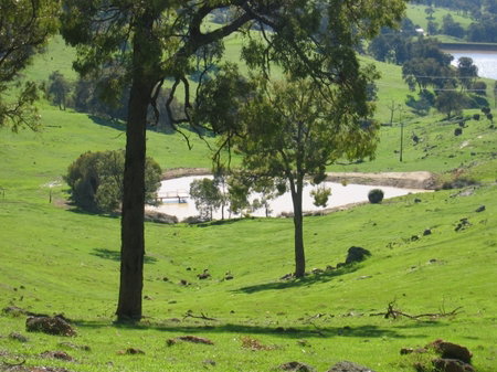 Vista Ridge Estate - Top Paddock Cottage - Mackay Tourism 3