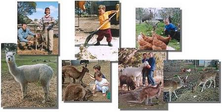 Kemminup Farm - Mackay Tourism 2