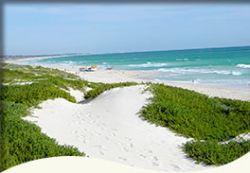 Trigg Retreat Bed And Breakfast - Mackay Tourism 5