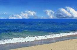 Cervantes Pinnacles Beachfront Caravan Park - Mackay Tourism 2