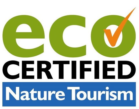 BIG4 Peppermint Caravan Park - Mackay Tourism 11