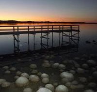 Lake Clifton Caravan Park - Mackay Tourism