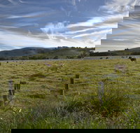 Annas Retreat - Mackay Tourism