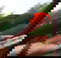 Barrington Tops Escapes - Mackay Tourism