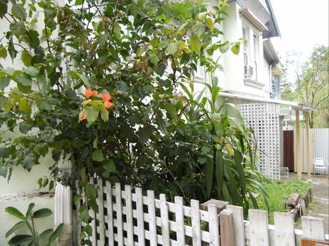 Chatswood Inn - Mackay Tourism 1