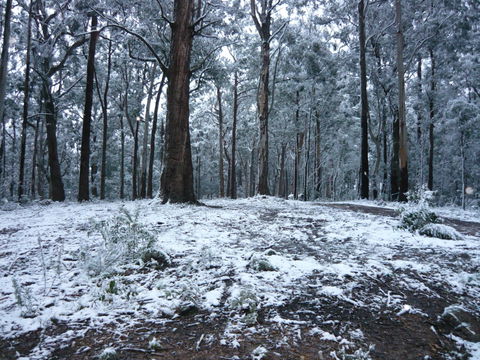High Peaks Cottages - Mackay Tourism 0