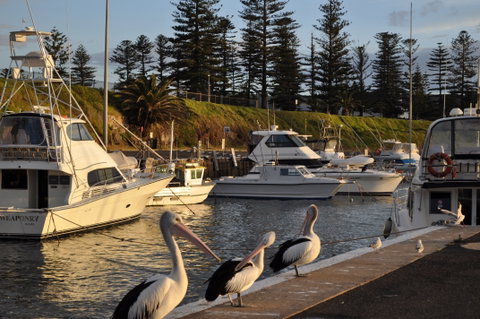 Nautica Accommodation Gerringong - Mackay Tourism 2