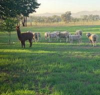 Wallinga Studio Farmstay - Mackay Tourism